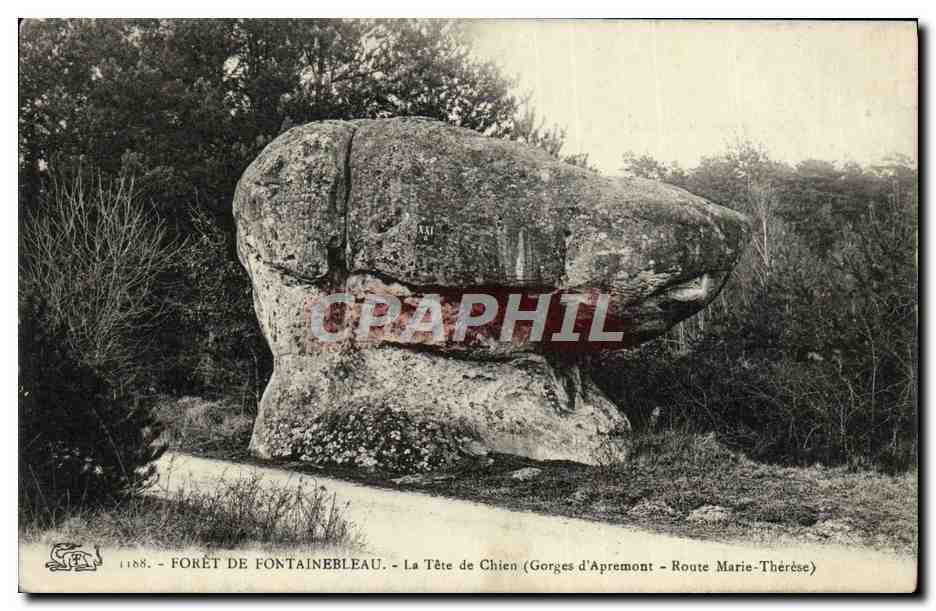 La Testa del Cane - Foresta di Fontainebleau - Gorge di Apremont - Strada Marie-Thérèse