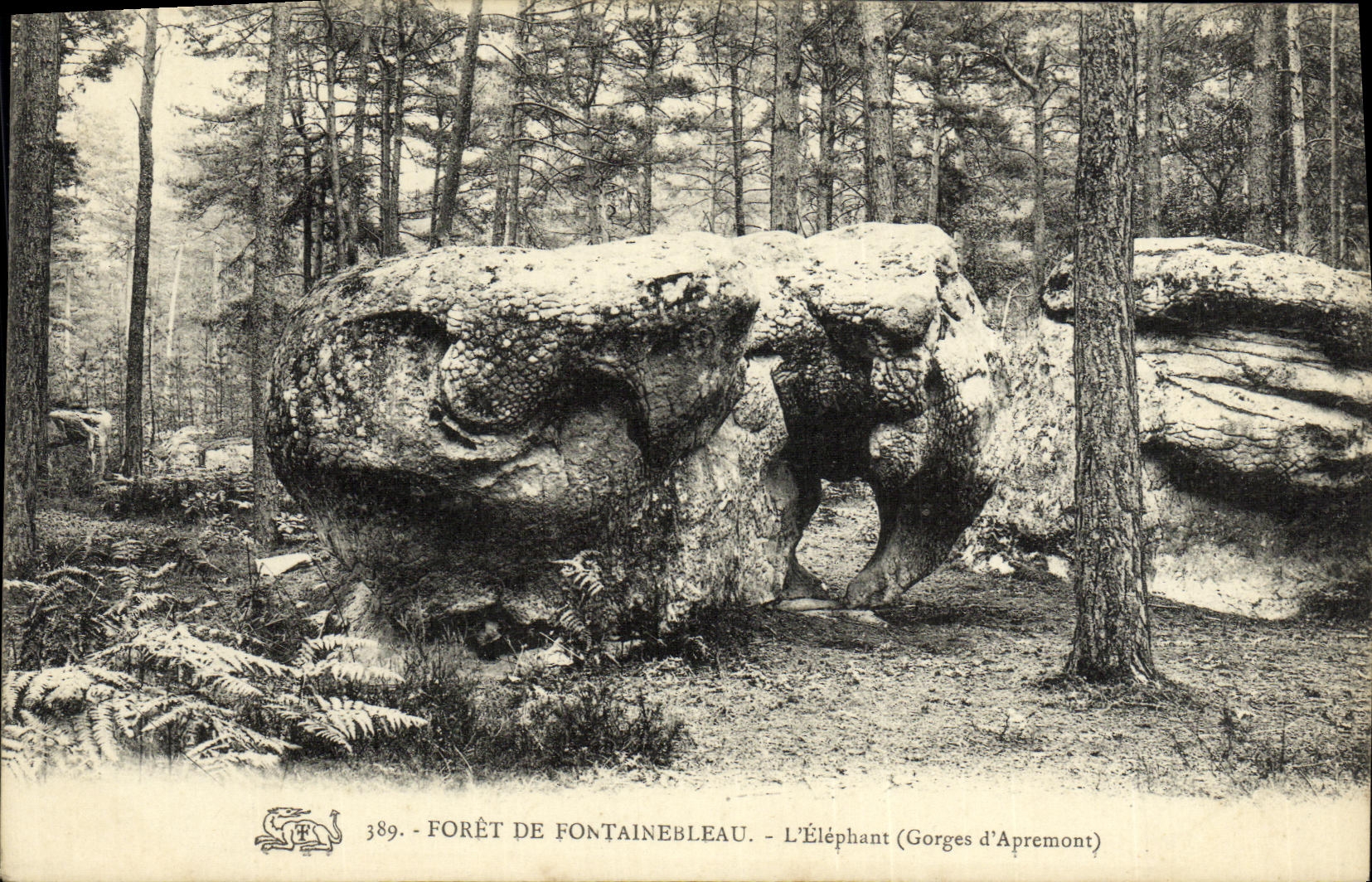 L'Elefante (Gorges d'Apremont) — Foresta di Fontainebleau — n° 389