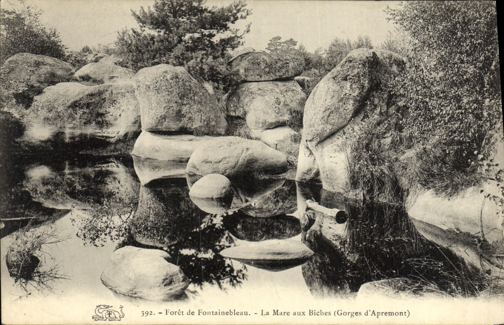 La Mare aux Biches (Gorges d'Apremont) — Foresta di Fontainebleau — n. 392