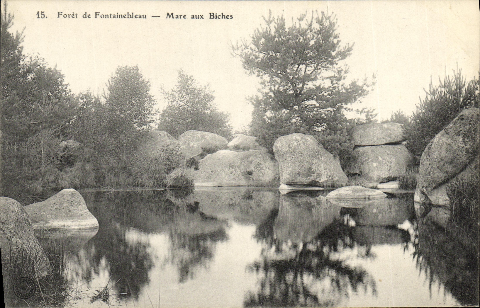 Forêt de Fontainebleau — Mare aux Biches — n°15