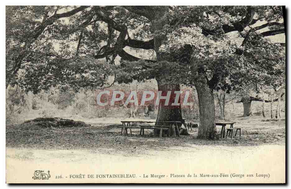 Bosque de Fontainebleau — Le Murger — Plateau de la Mare-aux-Fées (Gorge aux Loups)