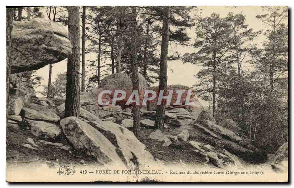 Wald von Fontainebleau — Felsen des Corot Belvédère (Gorge aux Loups) — CPAPHIL 449