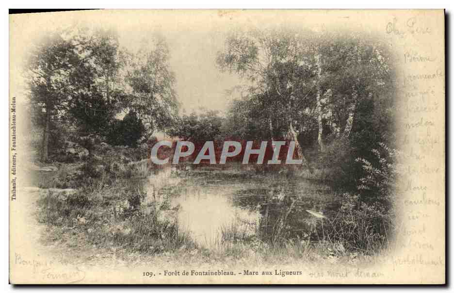 Bosque de Fontainebleau - Mare aux Ligueurs — Thihanli, editores, Fontainebleau-Ménil