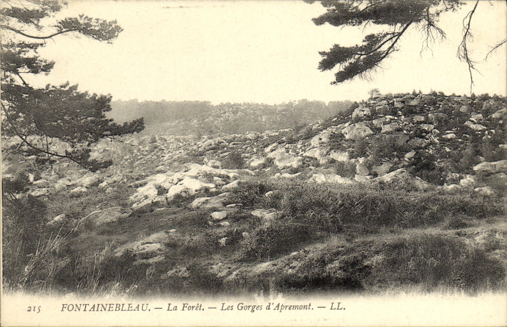Fontainebleau — La Forêt — Les Gorges d'Apremont — LL.