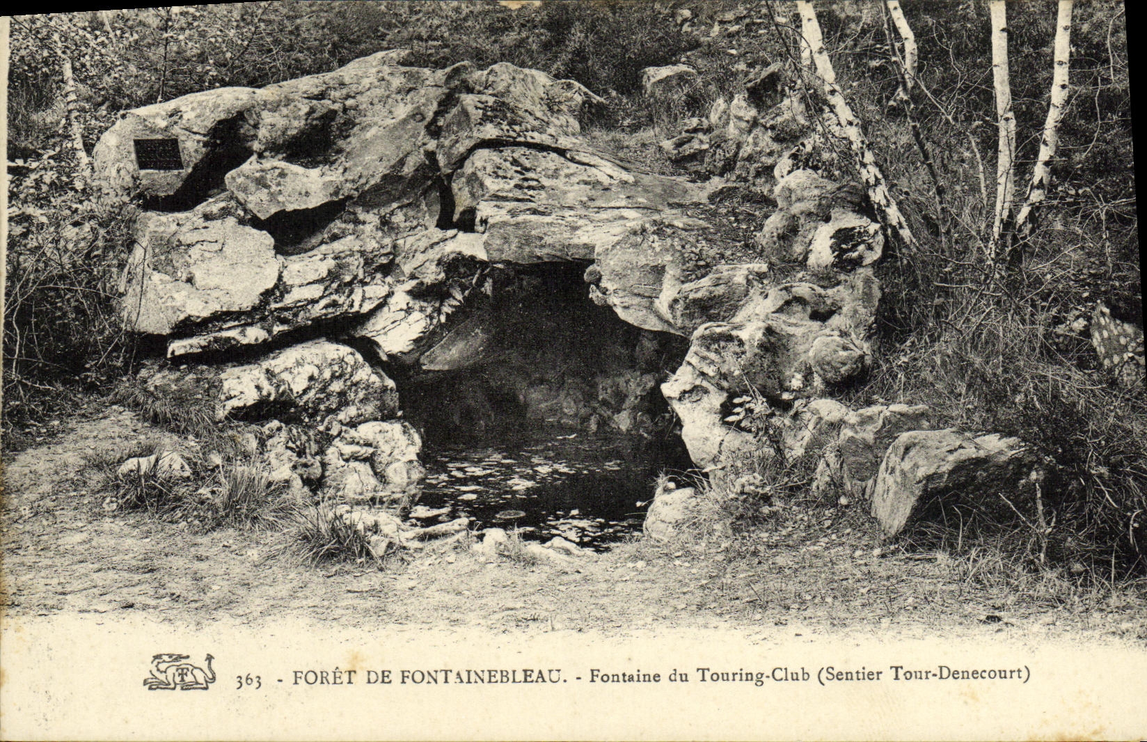 Forêt de Fontainebleau — Fontaine du Touring-Club — Sentier Tour-Denecourt — n°363