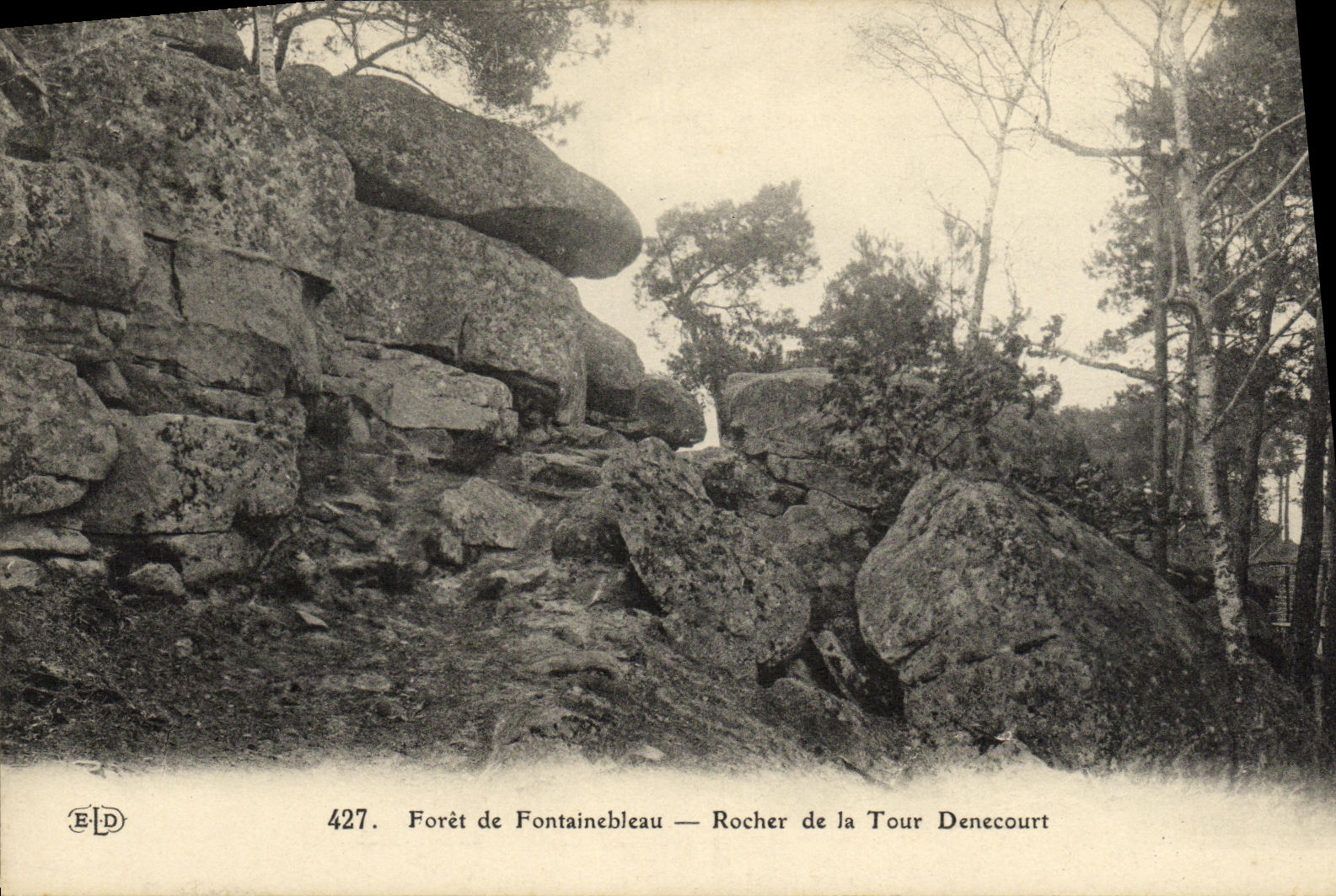Woud van Fontainebleau — Roche van de Tour Denecourt — E-D, n° 427