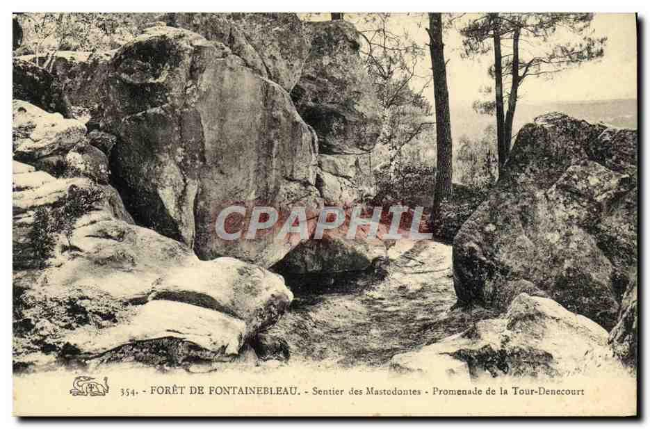 Forest of Fontainebleau — Mastodon Trail - Tour-Denecourt Promenade — n°354