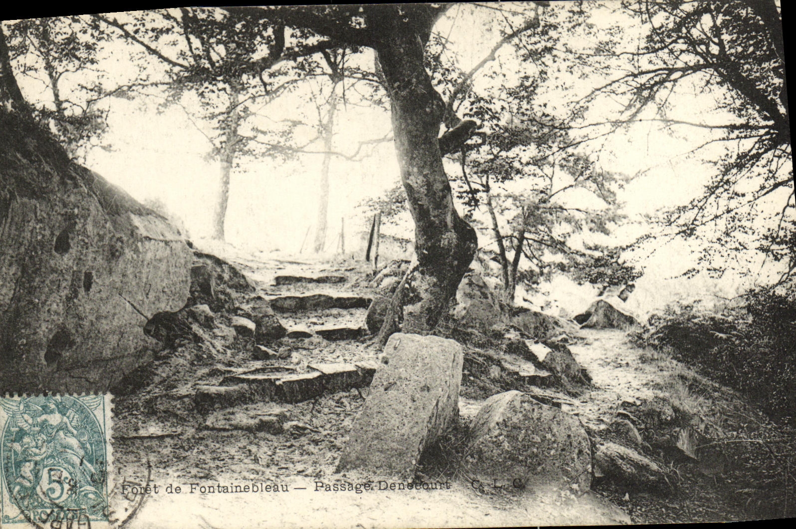 Foresta di Fontainebleau — Passaggio Deneucourt — C. L. C.
