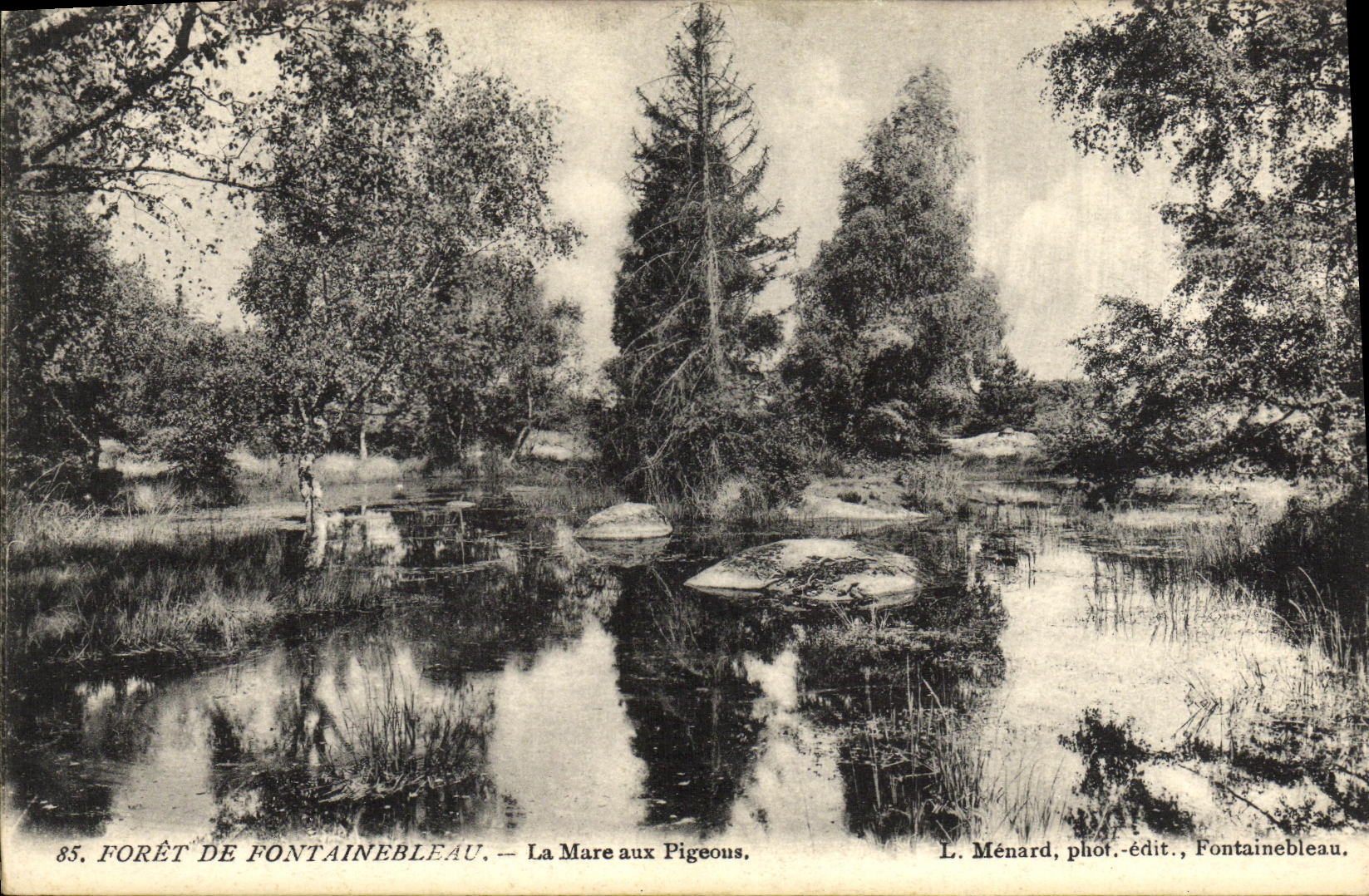 Foresta di Fontainebleau — La Mare aux Pigeons — L. Ménard, fot.-edit., Fontainebleau