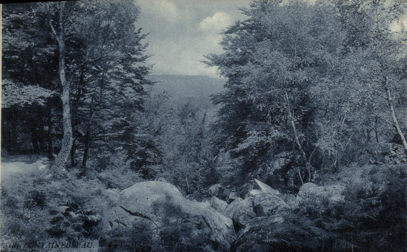 Fontainebleau — La foresta — editore non identificato, n° 48
