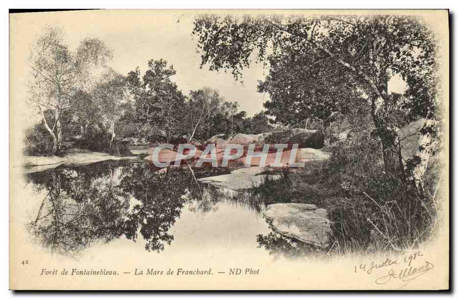 Foresta di Fontainebleau — La Mare de Franchard — ND Phot