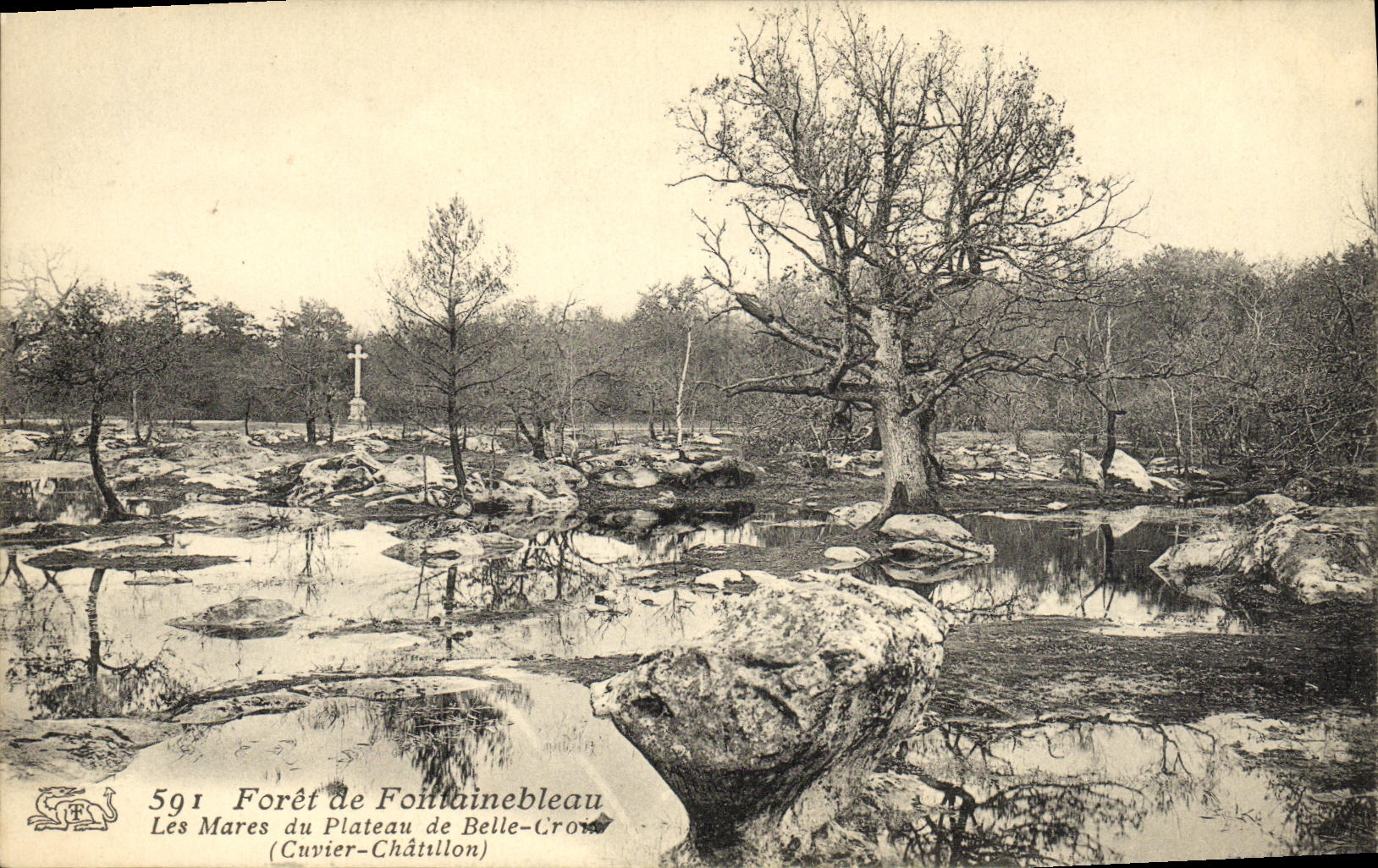 Les Mares du Plateau de Belle-Crow — Forêt de Fountainebleau — Cuvier-Châtillon — n° 591