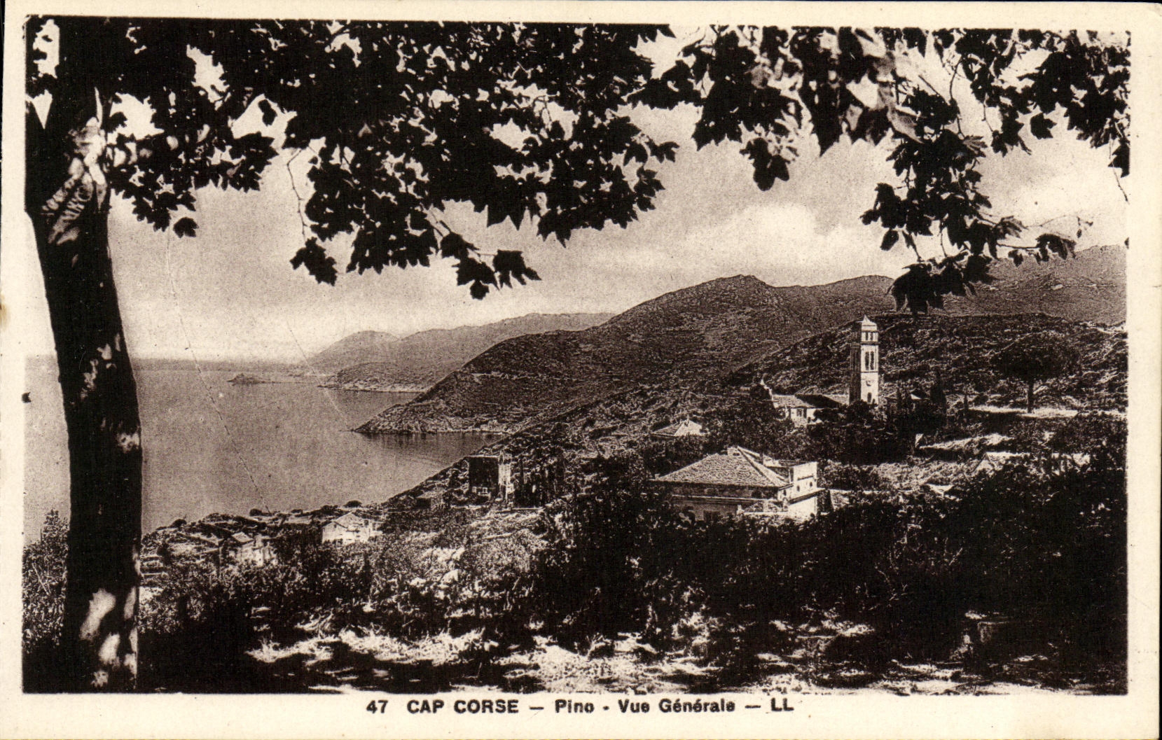 CPA Cap Corse Pino Vue generale