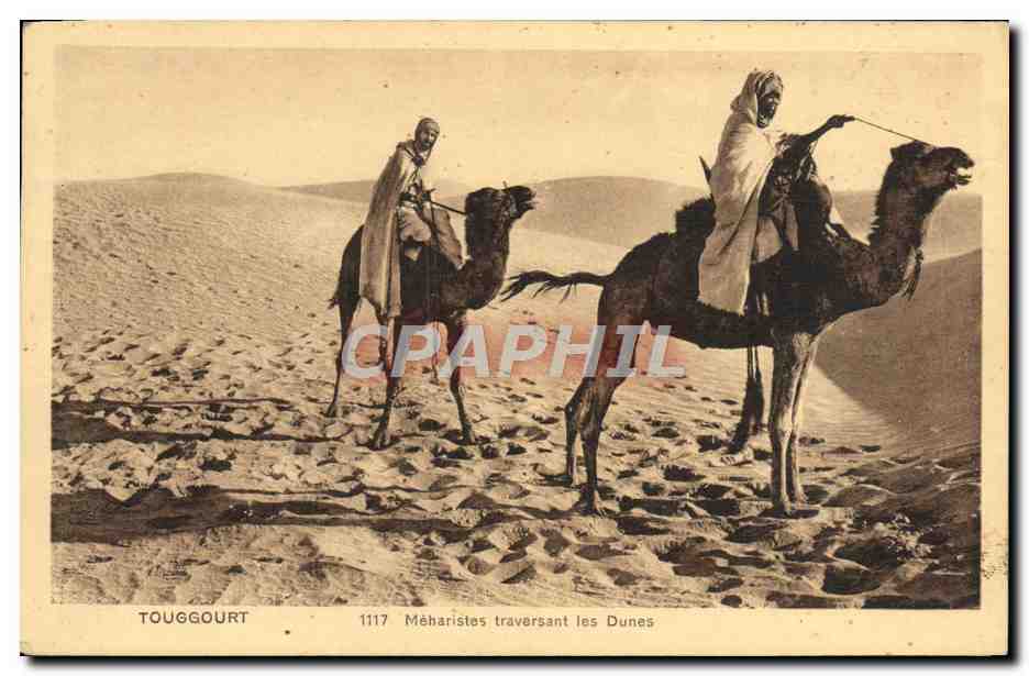 CPA Touggourt Meharistes traversant les Dunes Chameau 