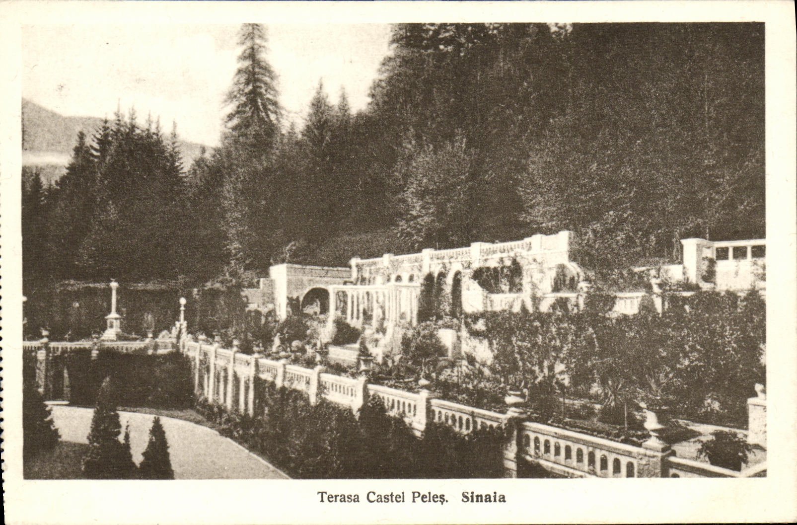 Terrasse du château de Peleș — Sinaia — Éditura N. T. Dumitrescu, Librar, Sinaia
