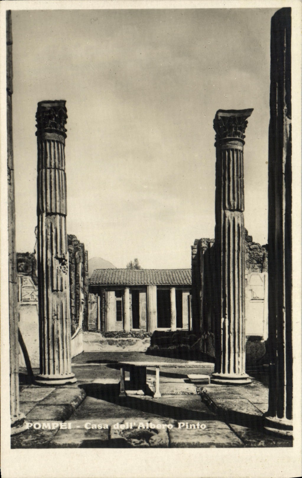 CPA Pompei Casa dell Albero Pinto