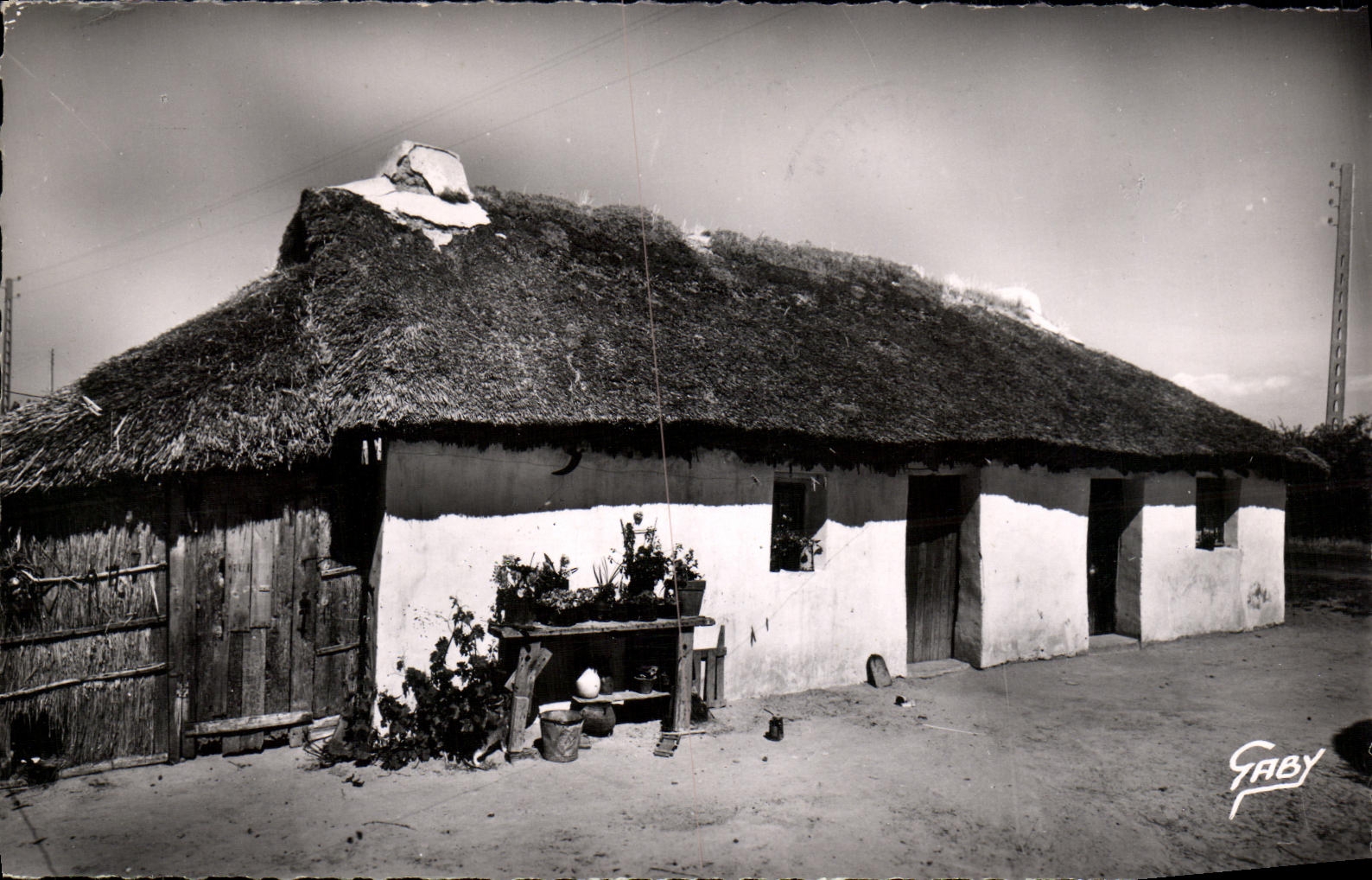 CPM Saint Jean de Monts Une Bourine 