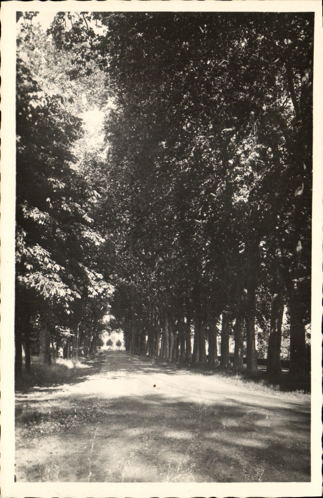 CPA Richelieu Les Promenades
