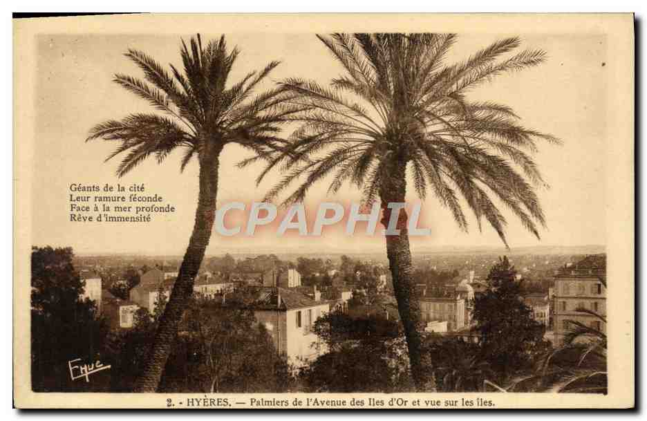 Hyères — Palmiers de l'Avenue des Îles d'Or et vue sur les îles
