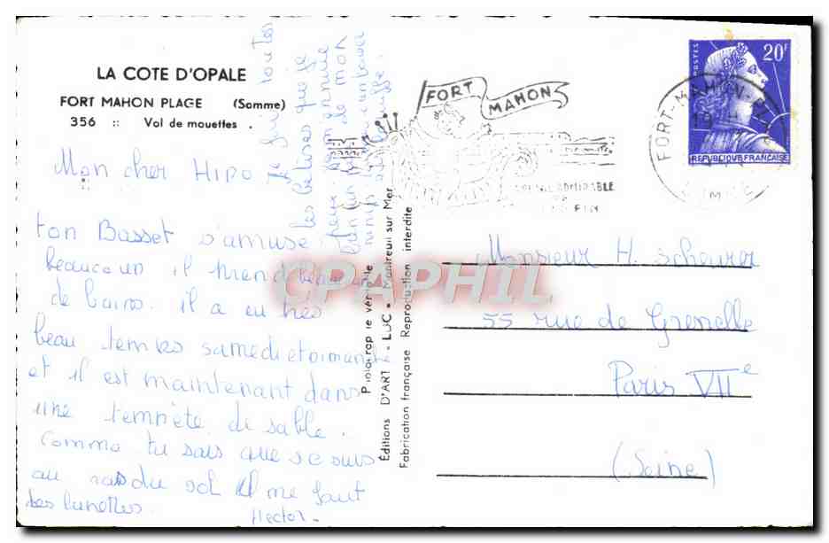 CPM La Cote d'Opale Fort Mahon Plage Vol De Moueffes — Rückseite