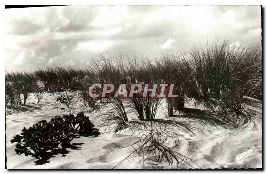 Dunes de Sarmen - Soir d'orage sur la dune - Édition de l'Europe, Pierron