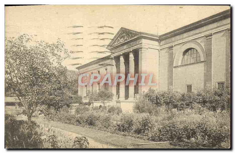 CPA Paris Museum d'histoire naturelle Phanerogamie Rue Cuvier 