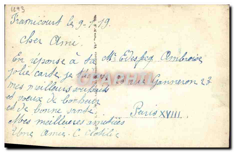 CPA Bonne Annee Trefle Chat Coccinnelle Cochon  — Rückseite