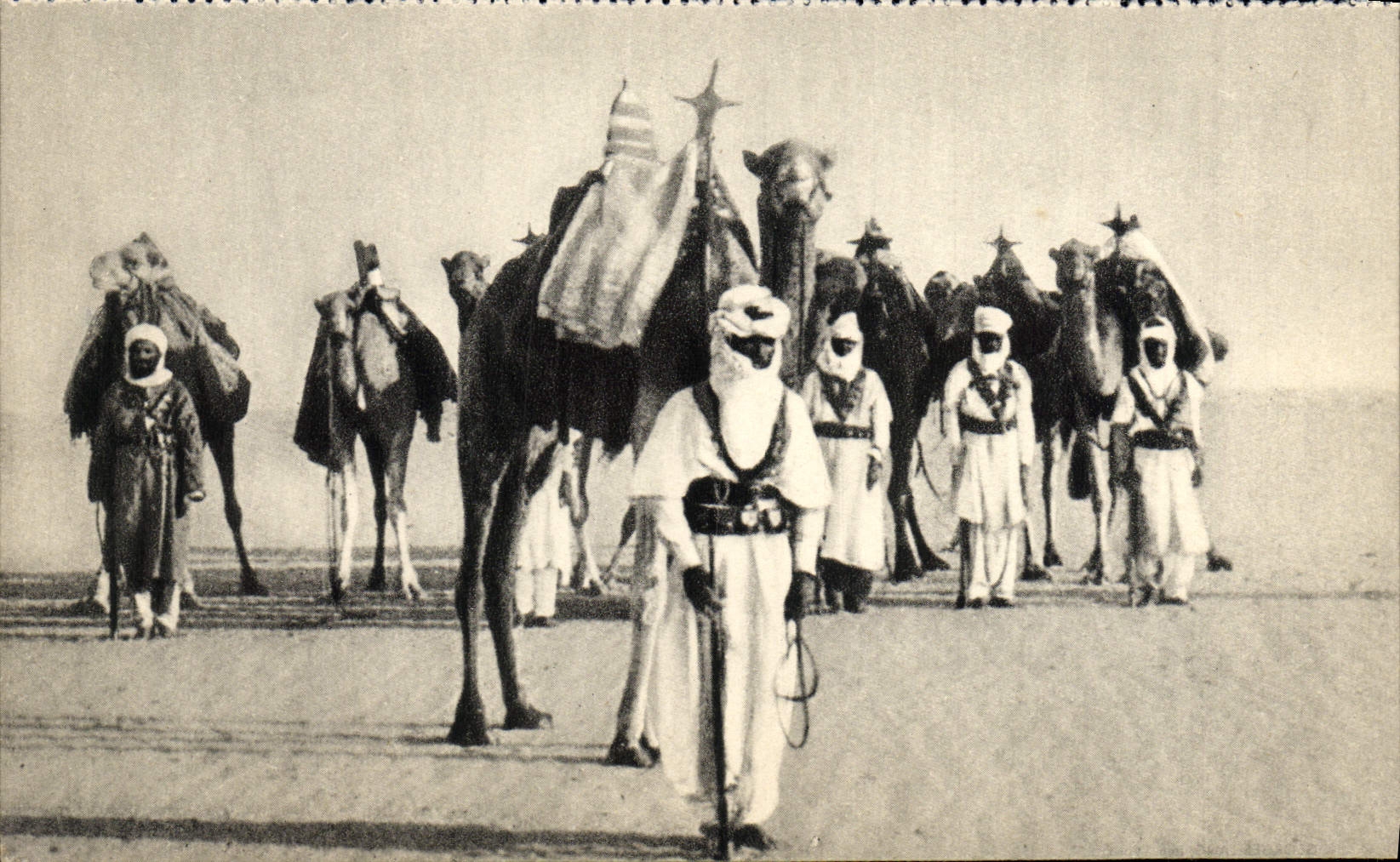 CPM Militaria Meharistes Chameaux 