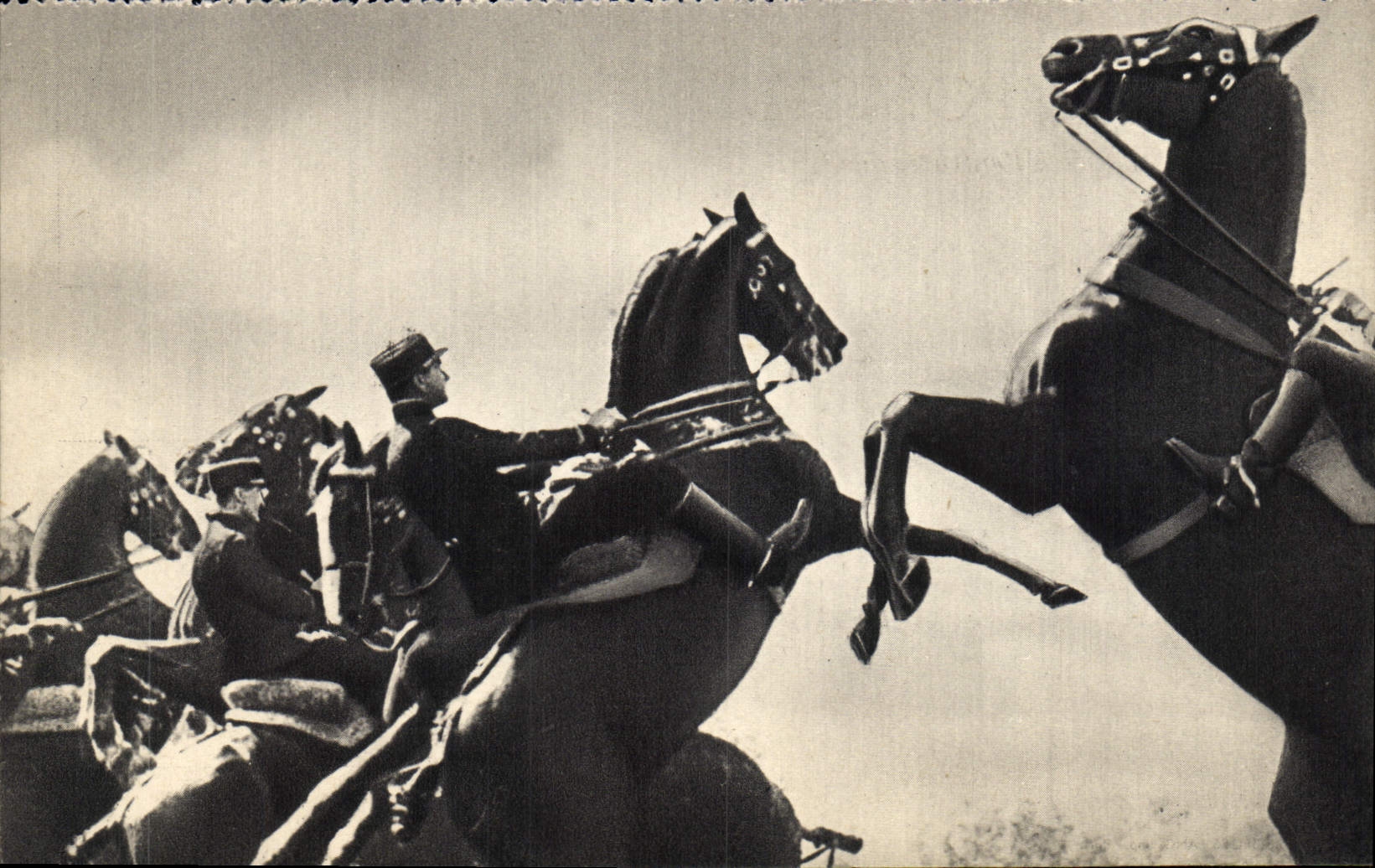 CPM Militaria Les ecuyers du Cadre Noir Chevaux 