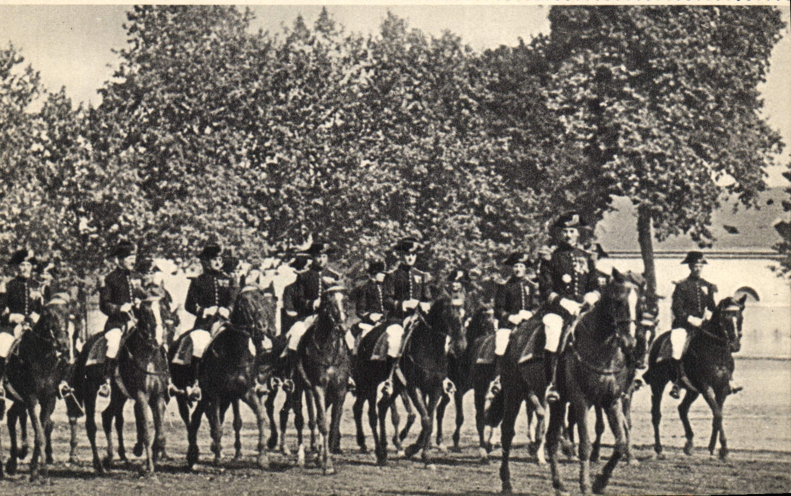 CPM Militaria Les ecuyers du cadre Noir Chevaux 