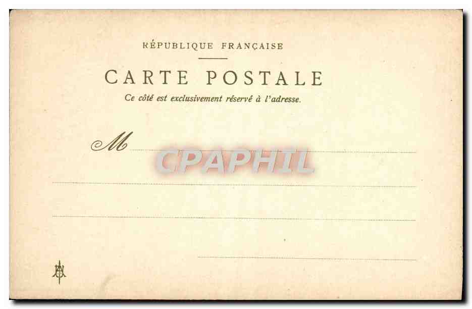 CPA Jonquille Narcissus Jonquilla — Verso