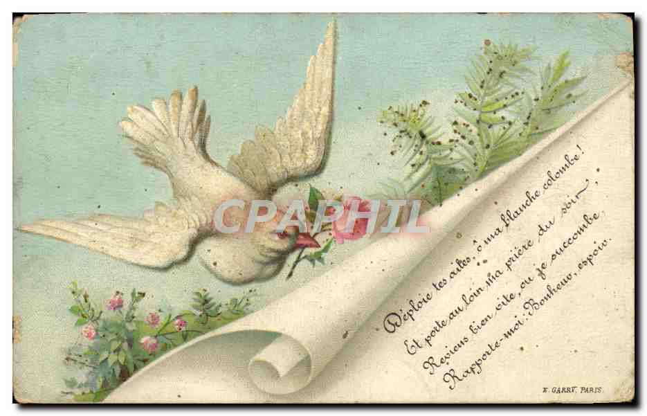 CPA Fantaisie Fleurs Colombe 