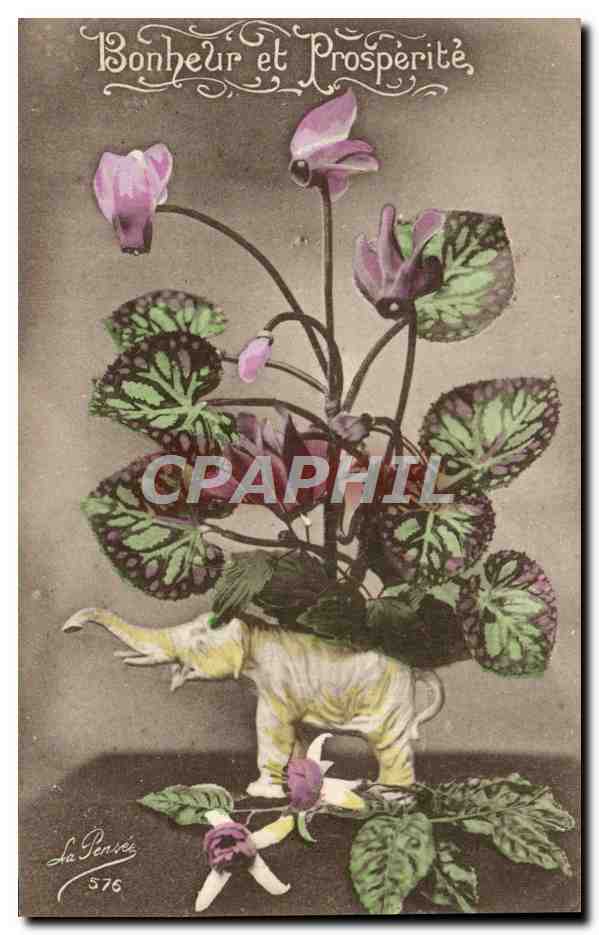 CPA Bonheur et Properite Fleurs Elephant