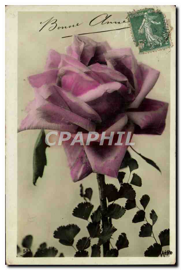 CPA Bonne Annee Fleurs Rose