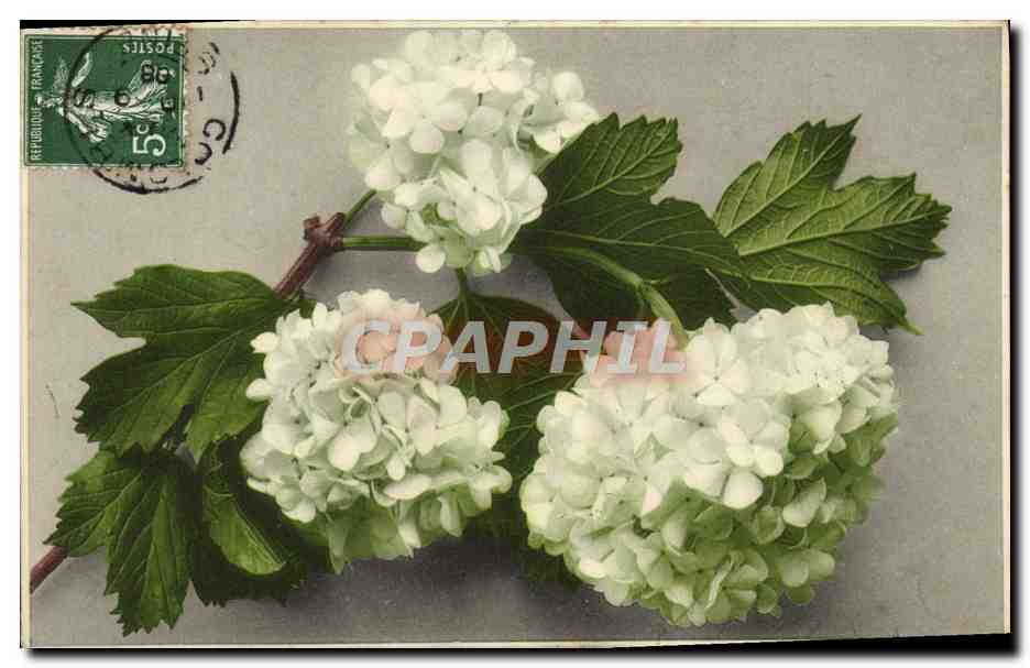 CPA Fantaisie Bonne Annee Fleurs 