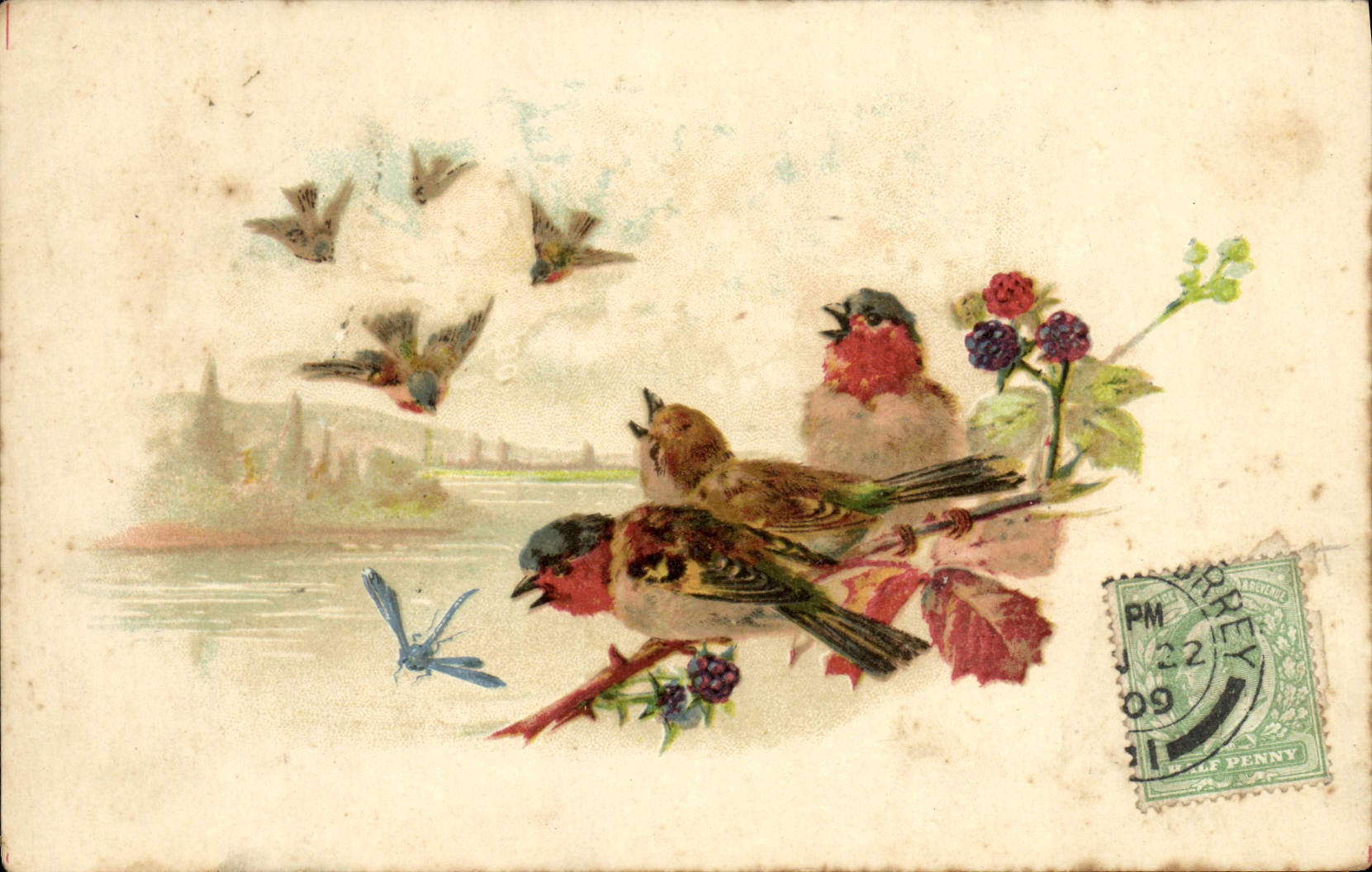 CPA Fantaisie Oiseaux