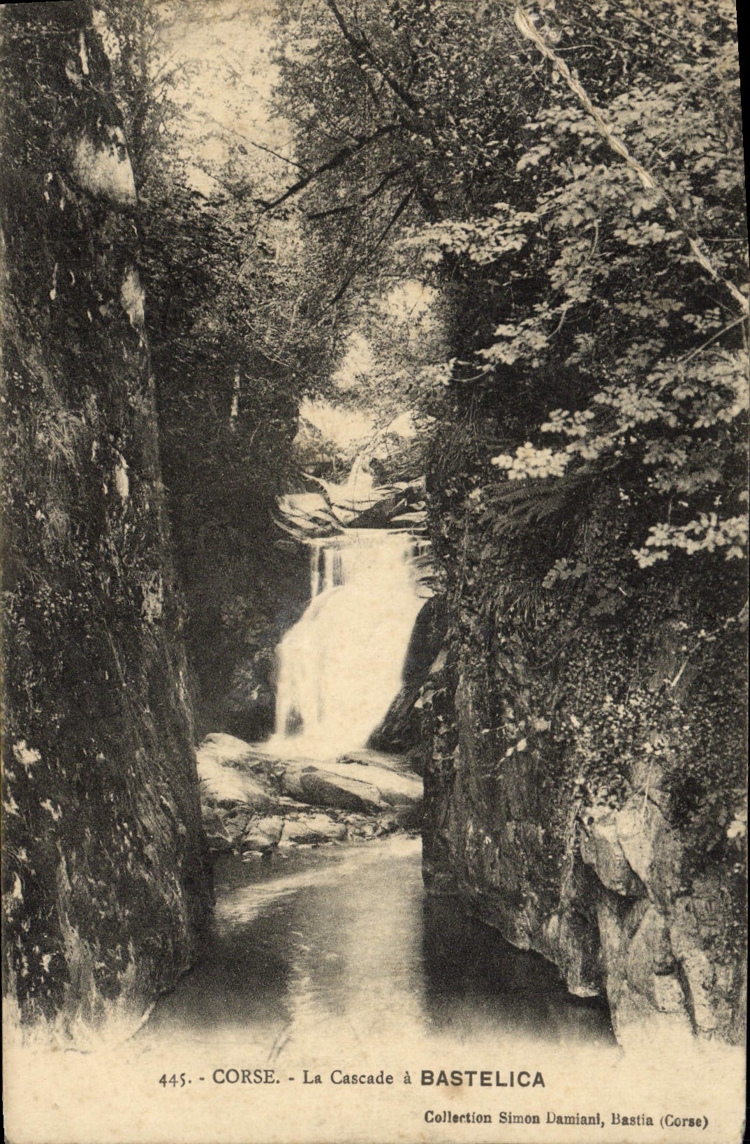 CPA Corse La Cascade a Bastelica Corse Corsica