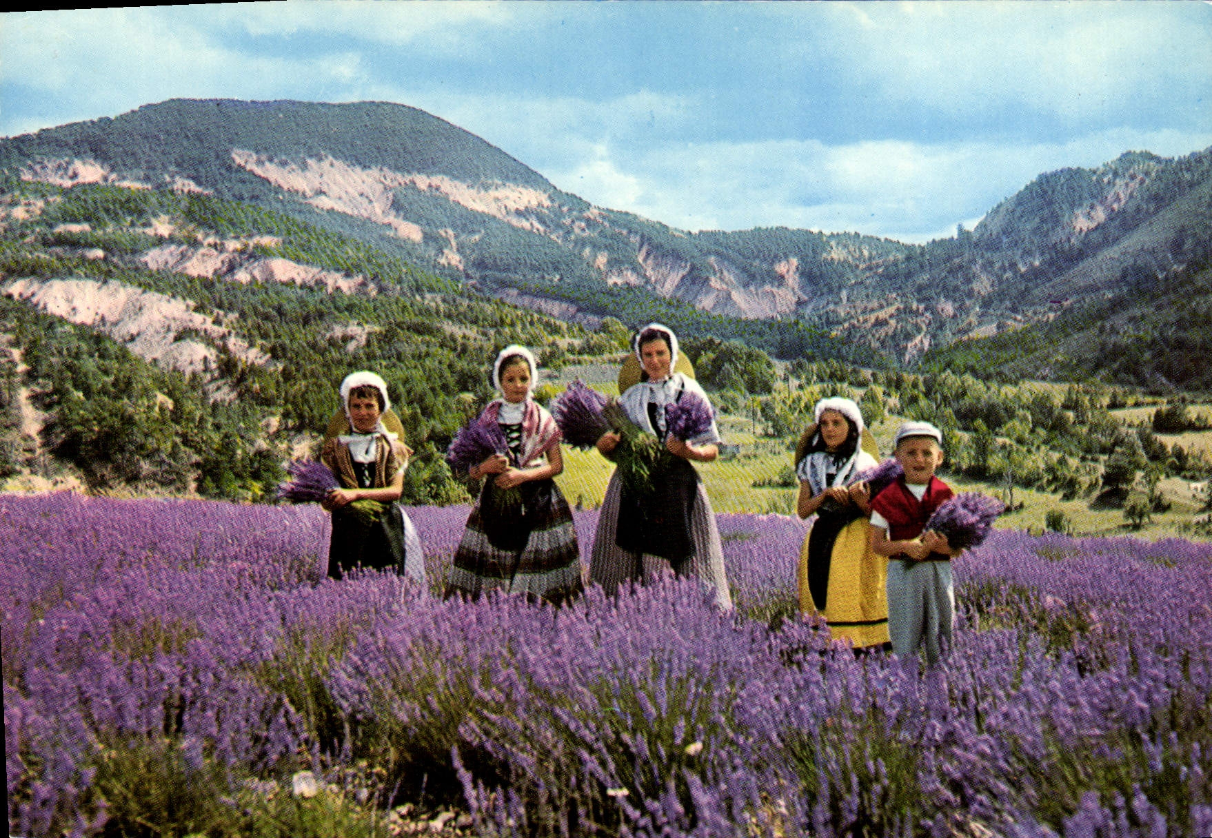 Lavande en Provence — Les Sites Merveilleux de la Côte d'Azur — n°111