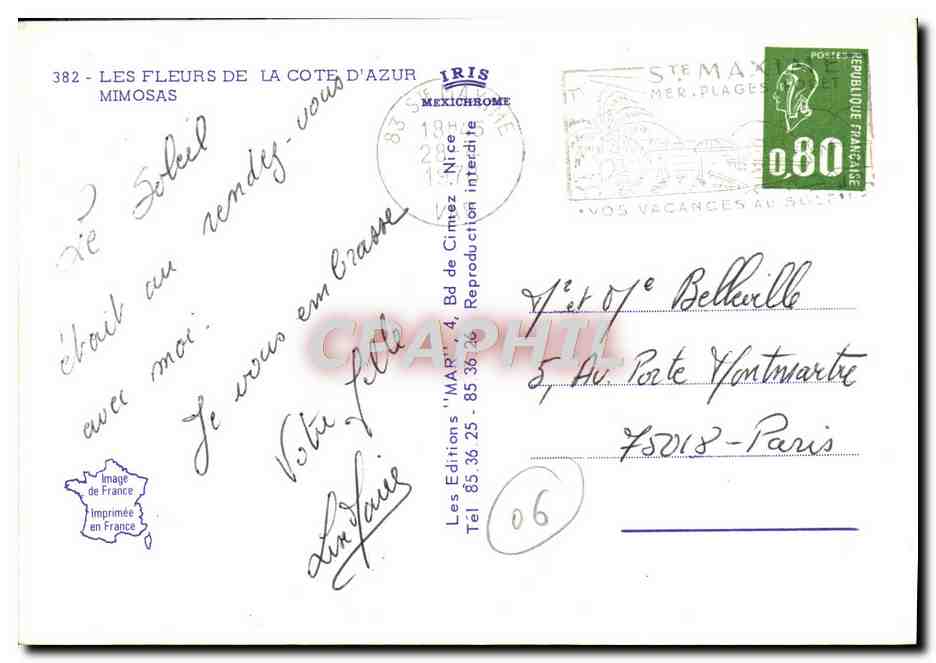 CPM Les Fleurs de la Cote d'Azur Mimosas — Verso