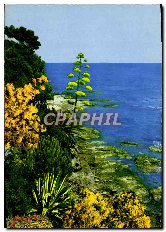 CPM Cote d'Azur 