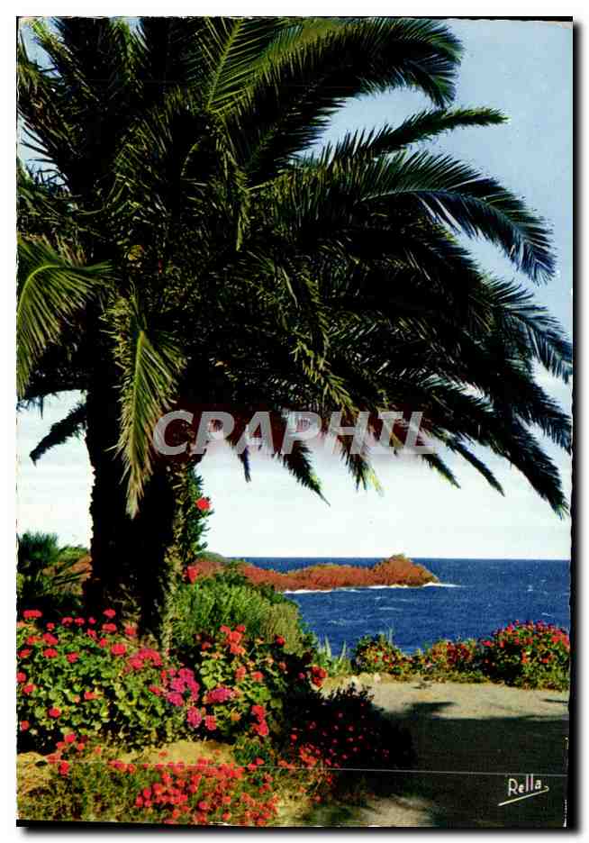 Jardin fleuri au bord du rivage — Saint-Aygulf — Éditions Rella