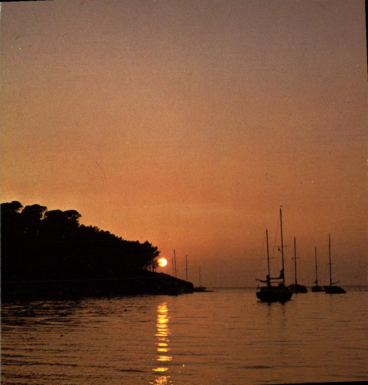 CPM La Cote D'Azur Coucher de soleil