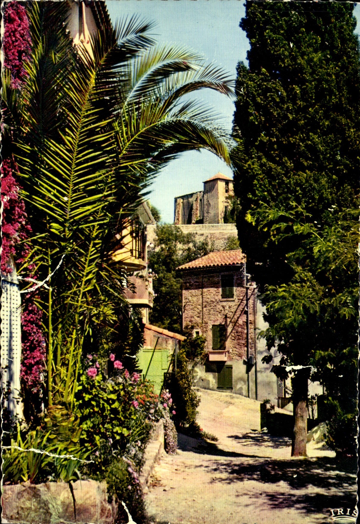 CPM La Cote D'Azur Vieux village Provence