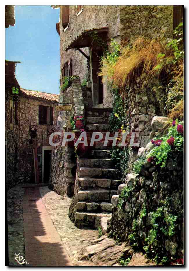 CPM La Cote D'Azur Au Soleil De Vieilles Maisons Aiux Murs Fleuris