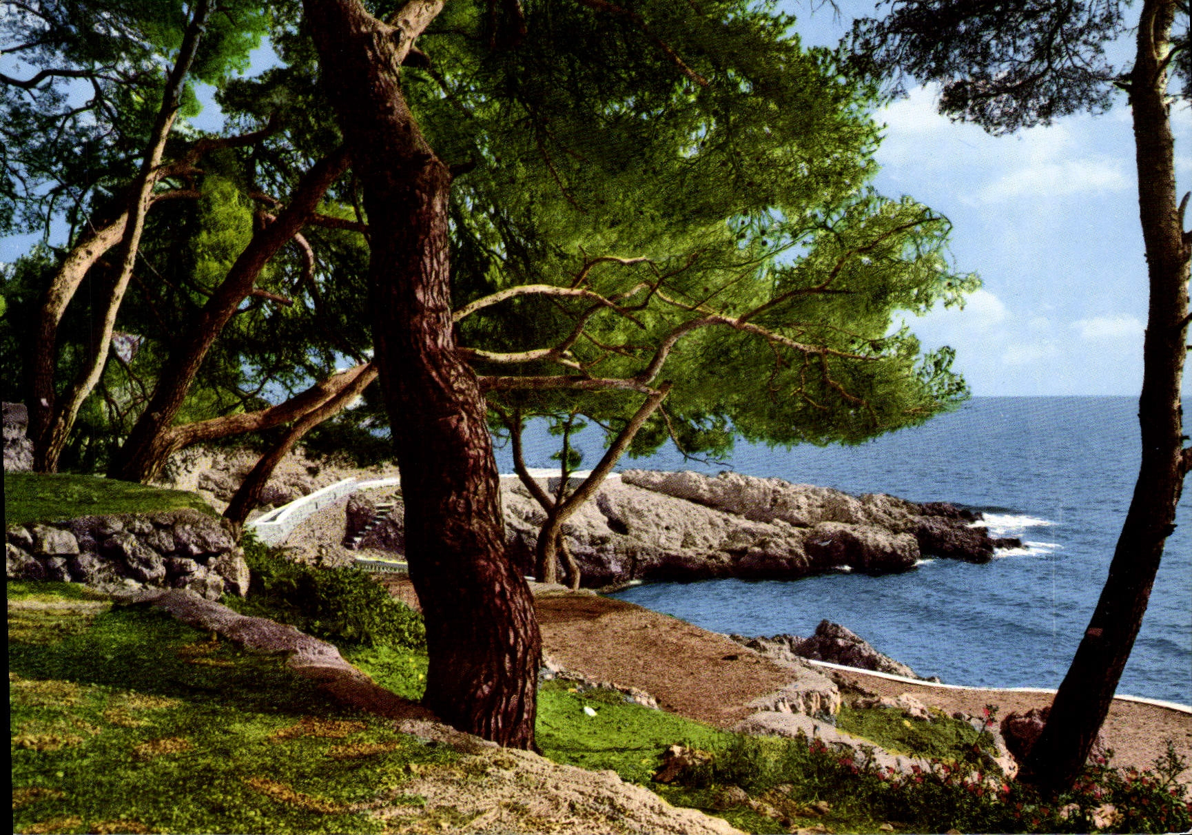 CPM Cote d'Azur Bord de Mer et Pinede
