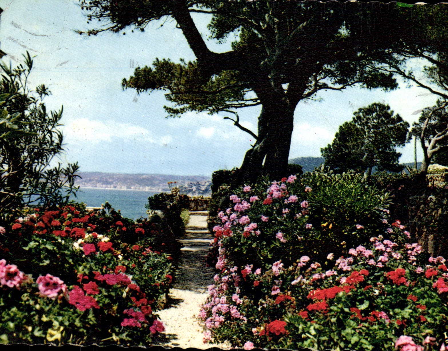 Jardin avec vue sur la mer — Reflets de la Côte d'Azur — Édition Mexchromé