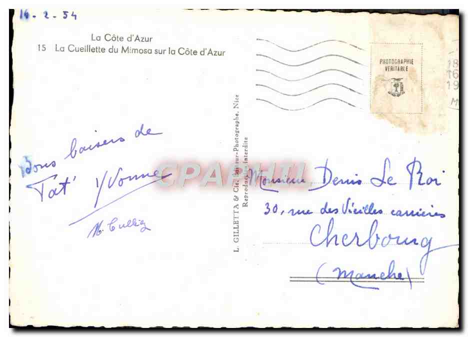 CPM Reflets De La Cote D'Azur La Cueillette Du Mimosa Femmes — Verso