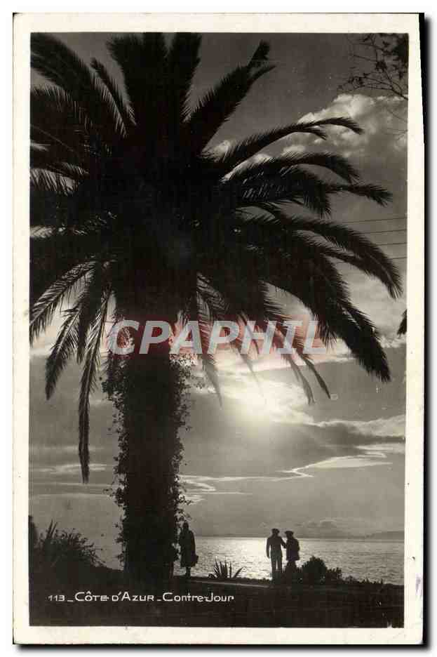 CPM La Cote D'Azur Contre jour Palmier 