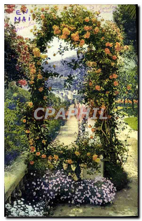 CPM La Cote D'Azur Jardin Fleuri