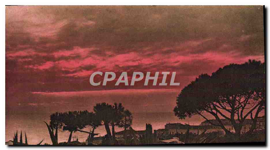CPA Flore Artistique Au Bord de la Mer